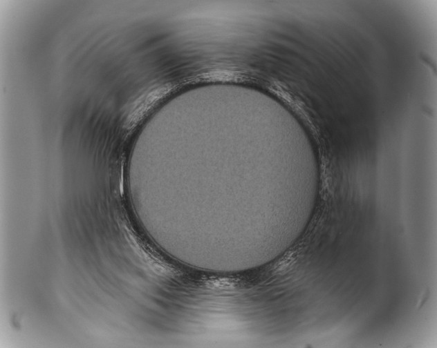 X0000101140062200807251035