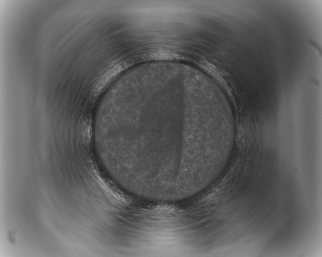 X0000101140063200807251035