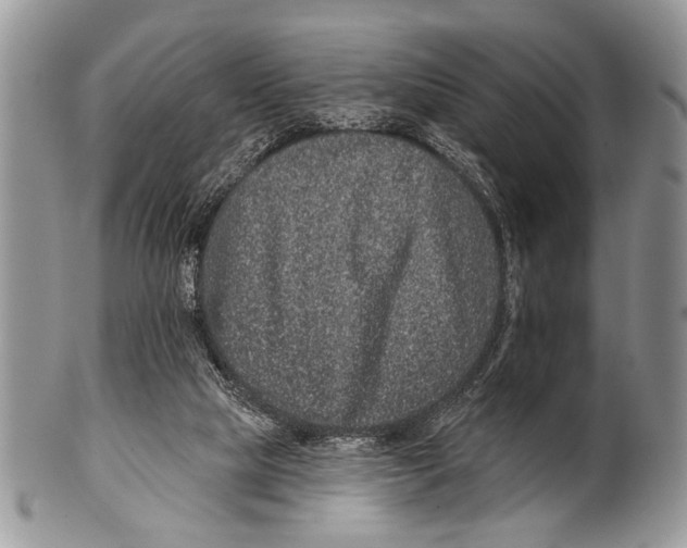 X0000101140065200807251035