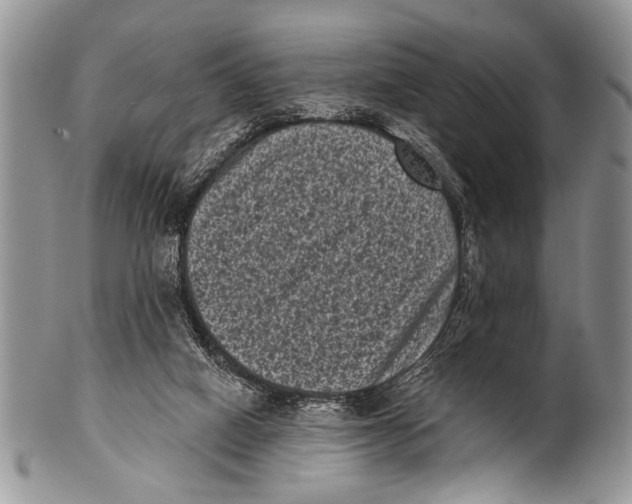 X0000101140066200807251035