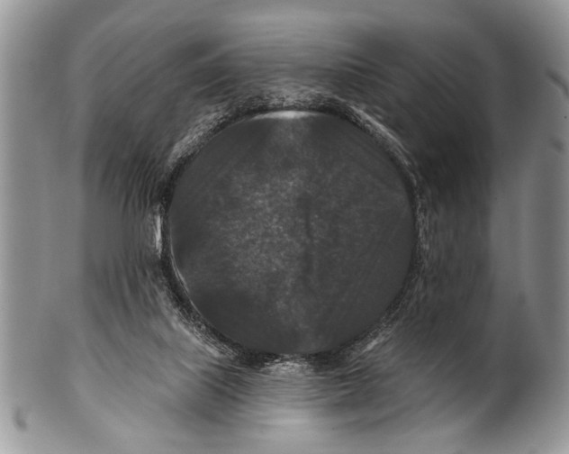 X0000101140067200807251035