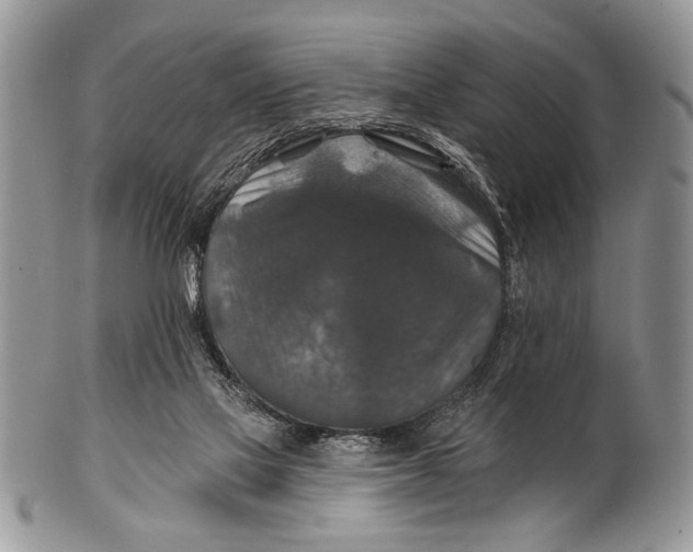 X0000101140069200807251035