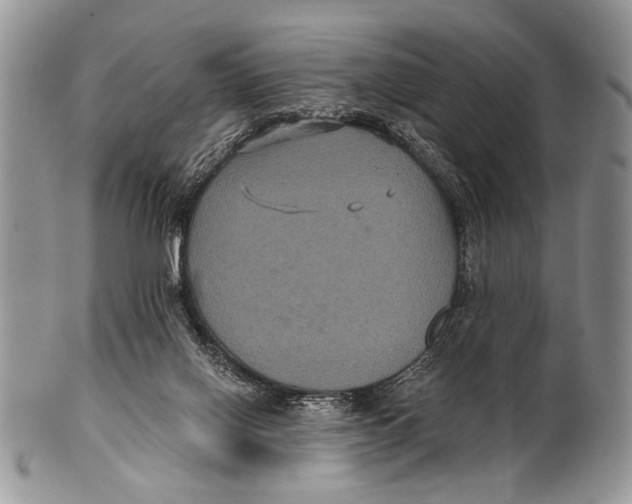 X0000101140070200807251035