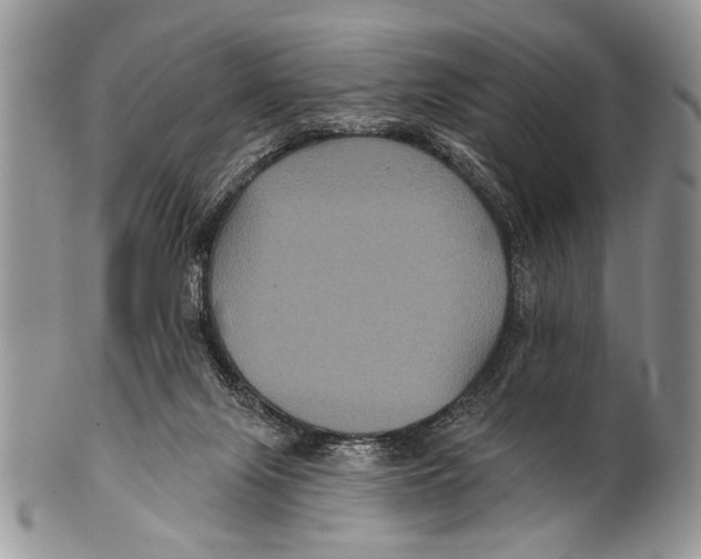 X0000101140071200807251035