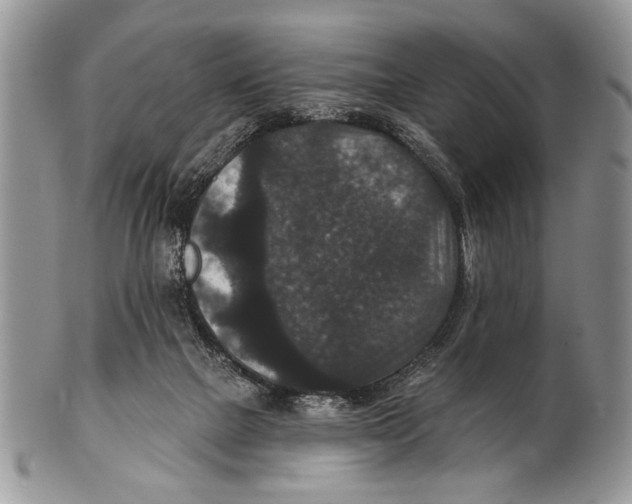 X0000101140073200807251035