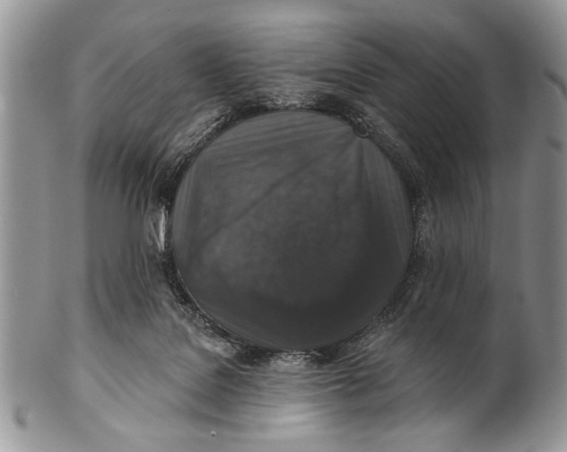 X0000101140076200807251035