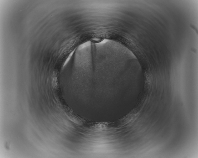 X0000101140080200807251035