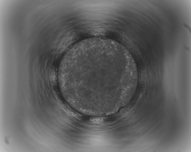 X0000101140084200807251035