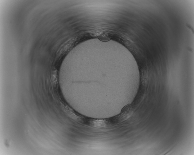 X0000101140085200807251035