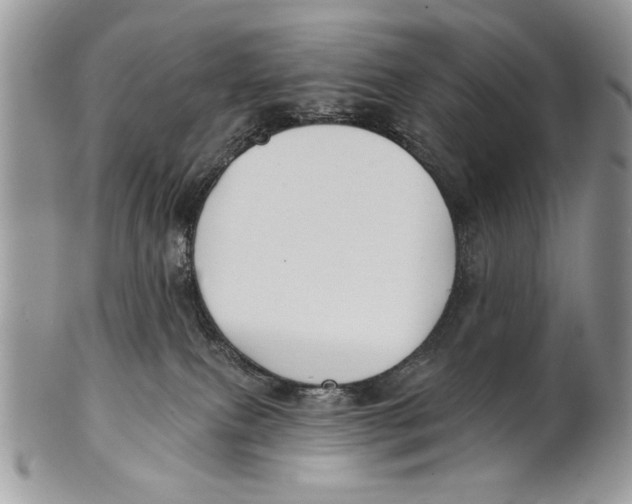 X0000101140087200807251035