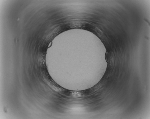 X0000101140091200807251035