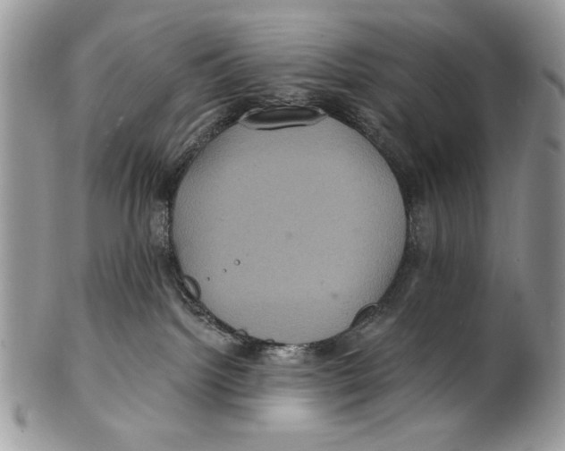 X0000101140092200807251035