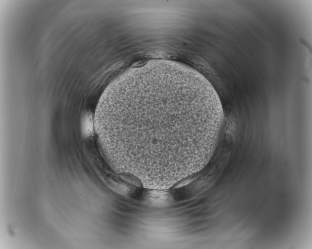 X0000101140095200807251035