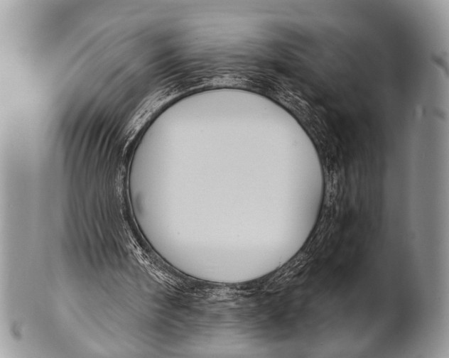 X0000101140098200807251035