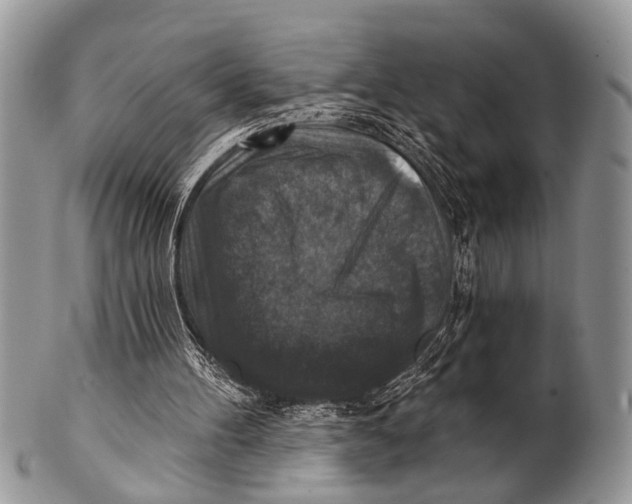 X0000101140100200807251035