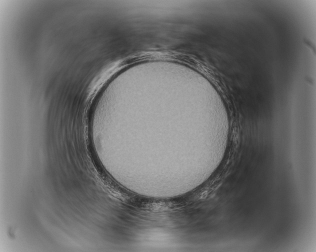 X0000101140103200807251035