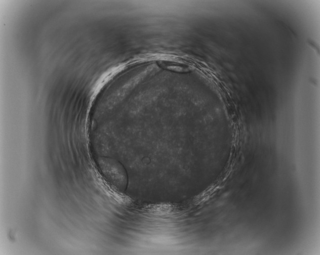 X0000101140104200807251035