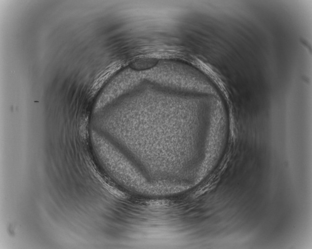 X0000101140105200807251035