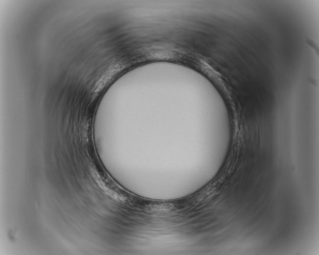 X0000101140106200807251035