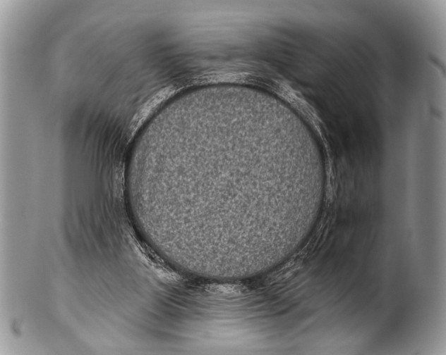 X0000101140107200807251035