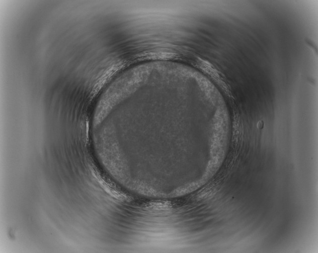 X0000101140110200807251034