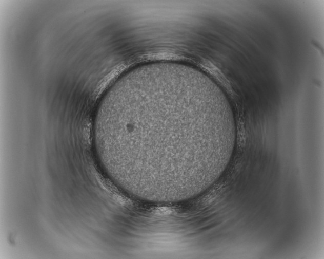 X0000101140111200807251034