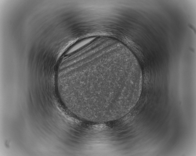 X0000101140112200807251034