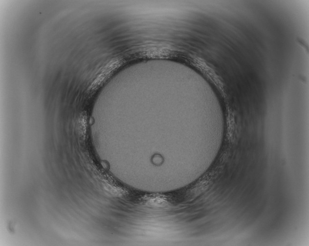 X0000101140113200807251034