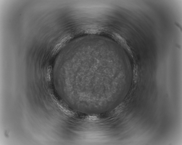 X0000101140114200807251034