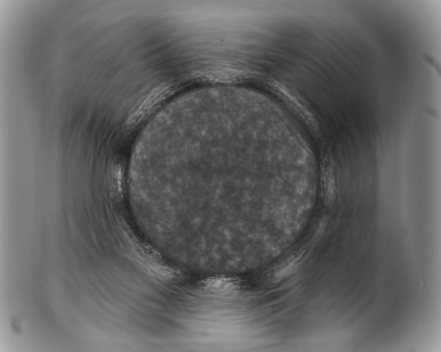 X0000101140117200807251034