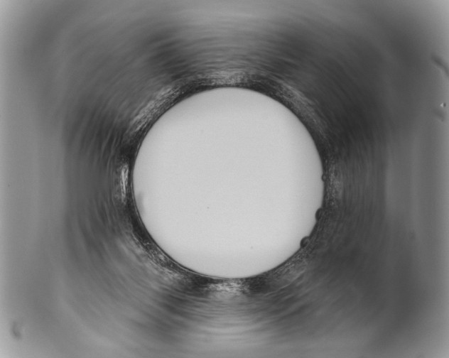 X0000101140118200807251034