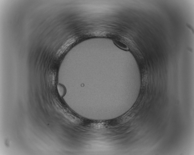 X0000101140120200807251034