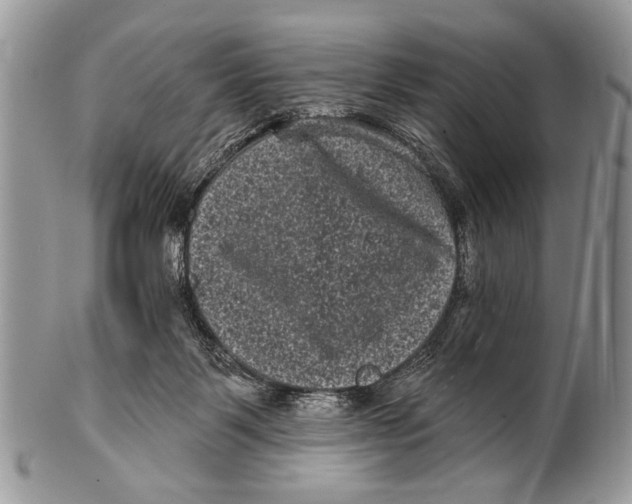 X0000101140123200807251034