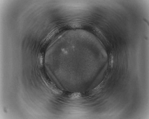 X0000101140124200807251034