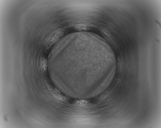 X0000101140125200807251034