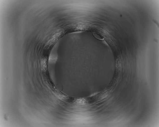 X0000101140127200807251034