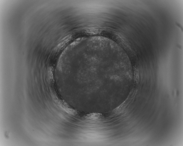 X0000101140128200807251034