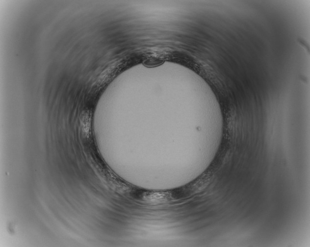 X0000101140129200807251034