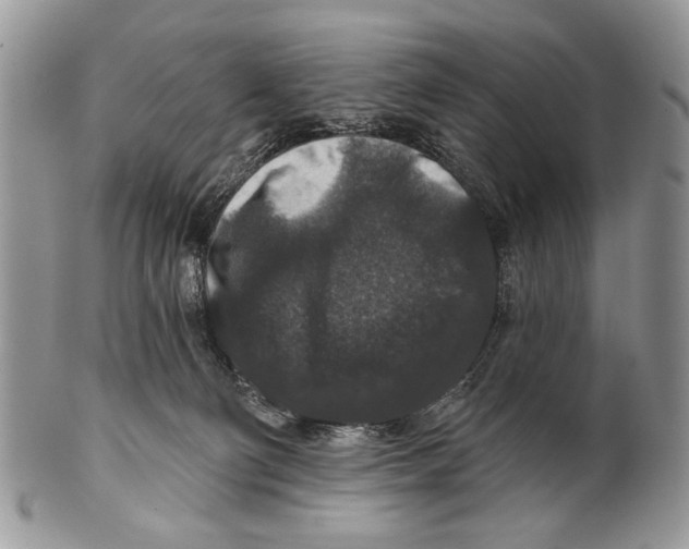 X0000101140130200807251034