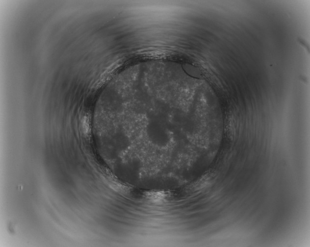 X0000101140131200807251034