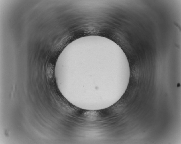 X0000101140133200807251034