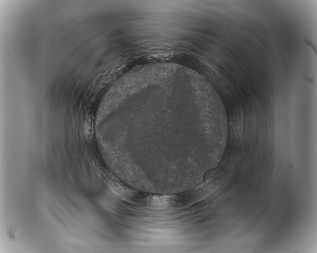 X0000101140134200807251034