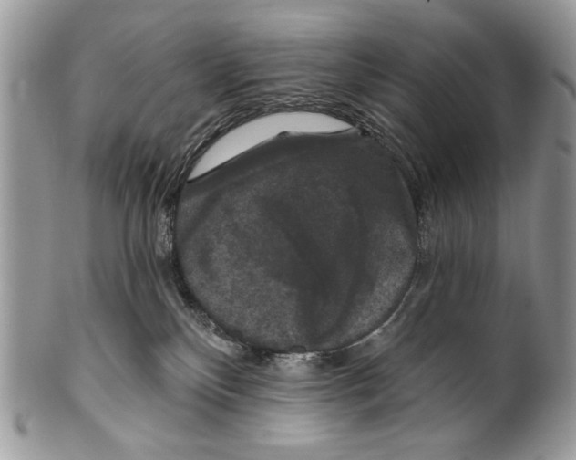 X0000101140136200807251034