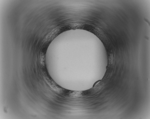 X0000101140138200807251034