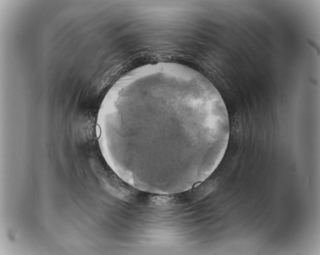 X0000101140139200807251034