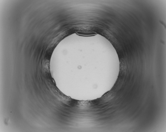 X0000101140141200807251034