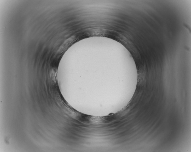 X0000101140142200807251034