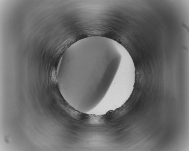 X0000101140143200807251034