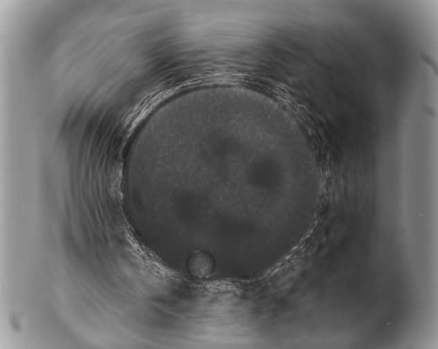 X0000101140146200807251033