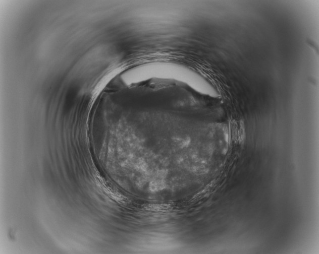 X0000101140147200807251033